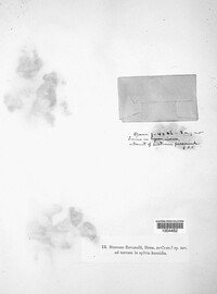 Image Associated With the Occurence